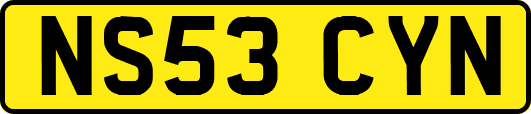 NS53CYN