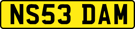 NS53DAM