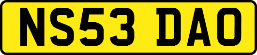 NS53DAO