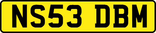 NS53DBM