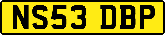 NS53DBP