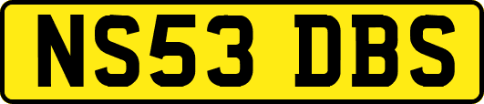 NS53DBS