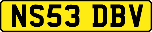 NS53DBV