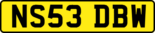 NS53DBW