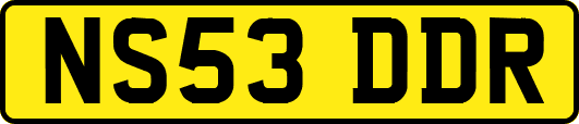 NS53DDR