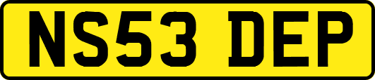 NS53DEP