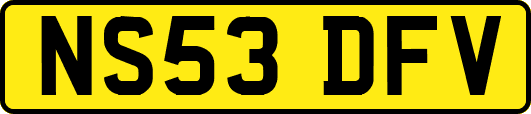 NS53DFV