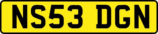 NS53DGN
