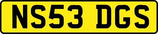 NS53DGS