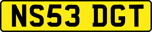 NS53DGT