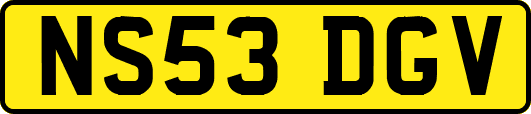 NS53DGV