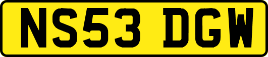 NS53DGW