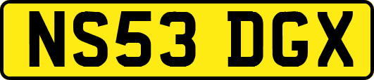 NS53DGX