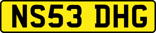 NS53DHG