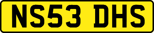 NS53DHS
