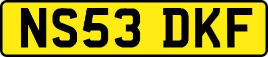NS53DKF