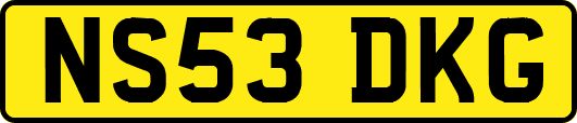NS53DKG