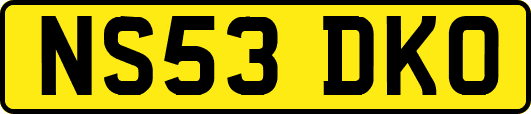 NS53DKO