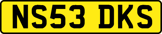 NS53DKS