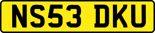 NS53DKU
