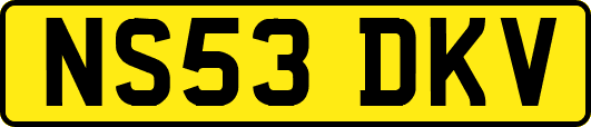 NS53DKV