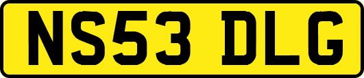 NS53DLG