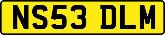 NS53DLM