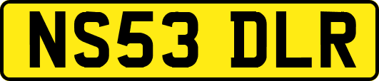 NS53DLR