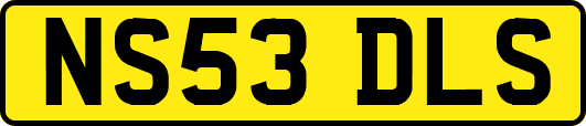 NS53DLS