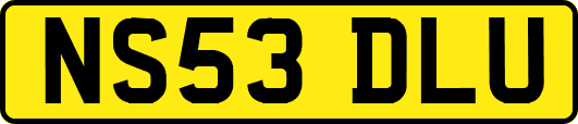 NS53DLU