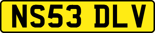 NS53DLV