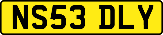 NS53DLY