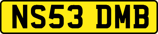 NS53DMB