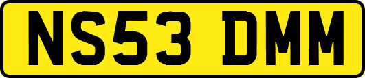 NS53DMM
