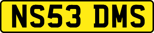NS53DMS