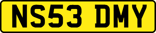 NS53DMY