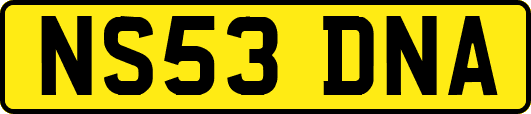 NS53DNA