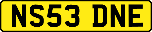 NS53DNE