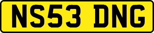 NS53DNG