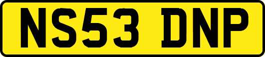 NS53DNP