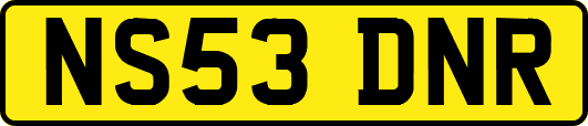 NS53DNR