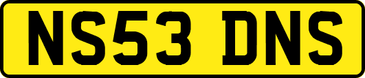 NS53DNS