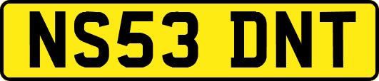 NS53DNT