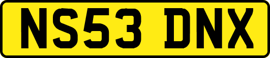 NS53DNX