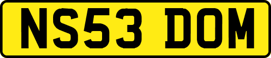 NS53DOM