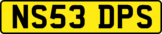 NS53DPS
