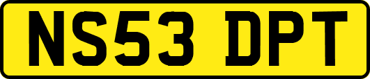 NS53DPT