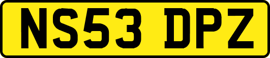 NS53DPZ