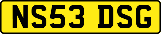NS53DSG