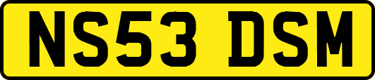 NS53DSM